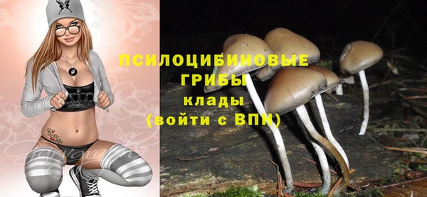 эйфоретик Белокуриха