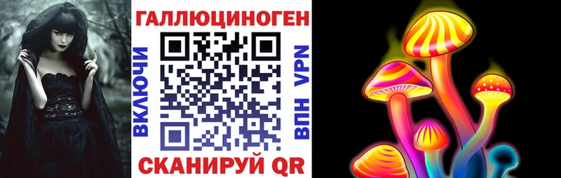 Псилоцибиновые грибы Psilocybe  купить закладку  Саяногорск 
